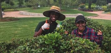 This summer, the program focused on maintenance of the Park s major gardens, the Japanese Garden and McGovern Centennial Gardens, as well as the weeding and cleaning of streams throughout the Park.