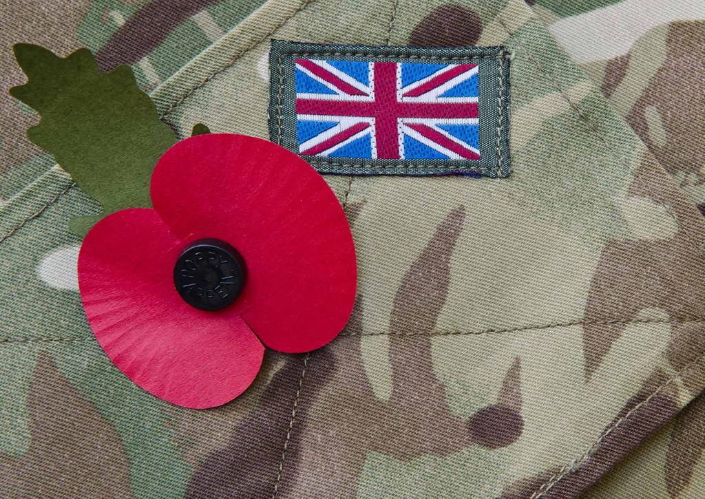 HONOUR OUR HEROES Welsh Conservatives support our armed forces, respect our veterans and honour the memory of the fallen; we will: Provide free access to leisure centres for veterans and those