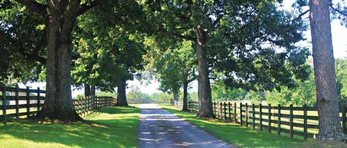 The Story 570 Wyndholm, Evington, VA 24550 Home to the current owner for the past 25 years, this equestrian homestead sits on 184 acres in