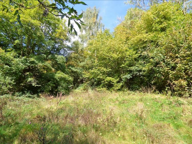 This is an extensive mature deciduous woodland which is steeply sloping and has pathways leading through it. In addition, there is an area of amenity land extending to the west side of the cottage.
