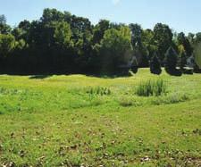 14 +- Acres TRACT #5: NORTH LAKE AVE.