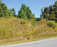 39 +- Acres Inspection: LANDLOCKED TRACT #55: OLMSTEAD LANE, TOWN OF