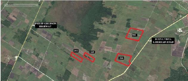 (Being SUGAR CANE LANDS: Parcel 262-10.00 acres; Parcel 265-10.00 acres both parcels old sugar cane fields situate approx. 1.6 kilometers west of the Buena Vista-Libertad Road and 1.