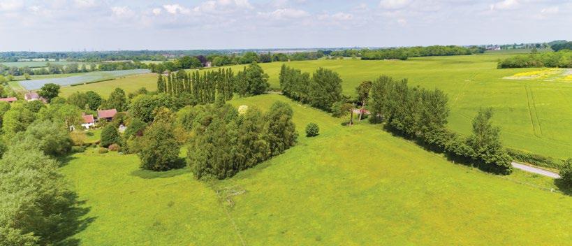 four enclosures and centred around a copse of 0.07 hectares (0.17 acres).
