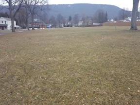 06 ACRES (APPROXIMATE) 311 RESIDENTIAL VACANT LAND VACANT LOT WITH
