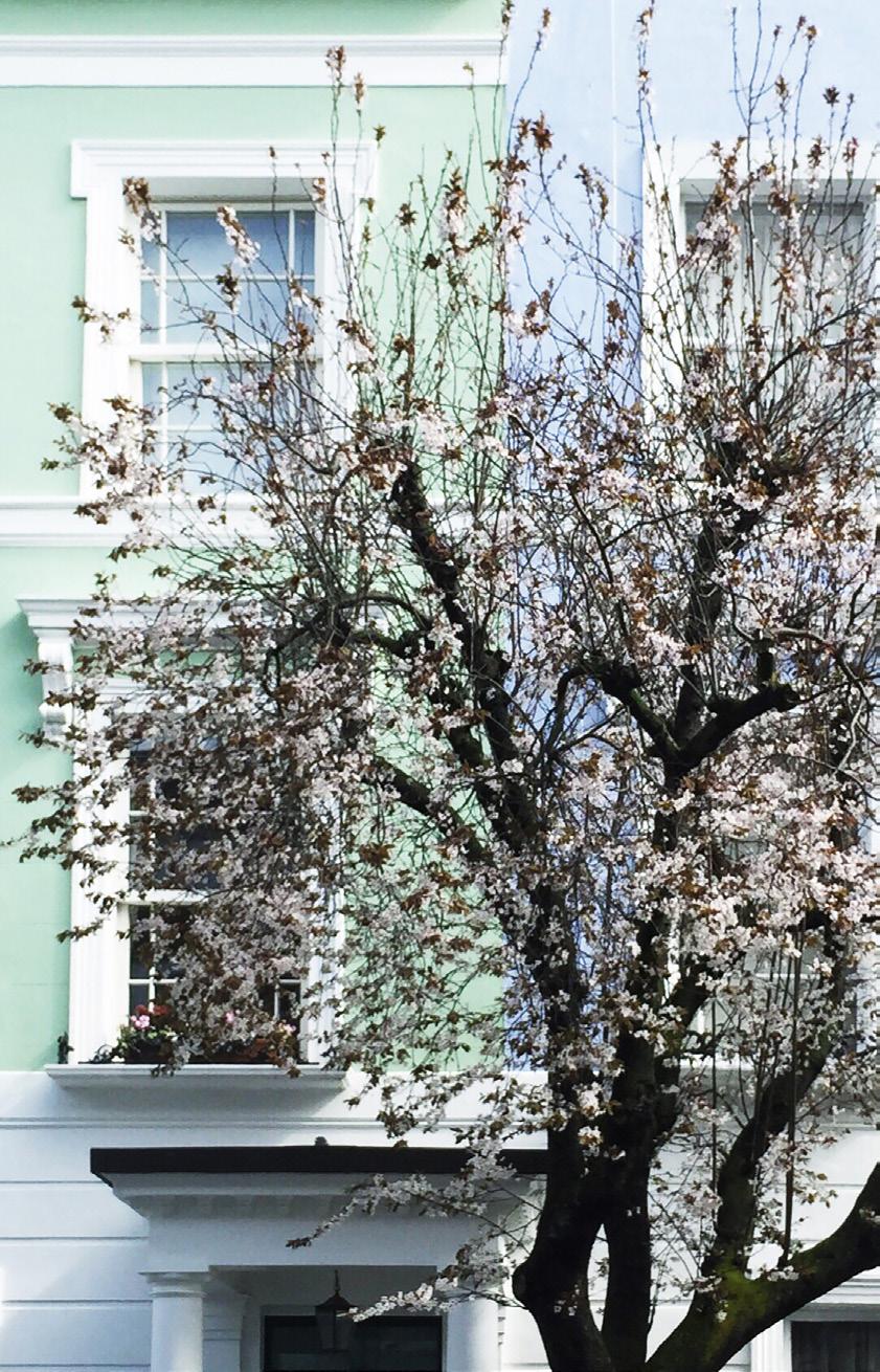SPRING REVIEW Inside London rental prices in detail Mortgage trends