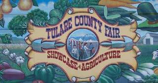 Tulare is responsible for a significant part of Tulare County s 342,600 dairy cows, which produce more than 8.