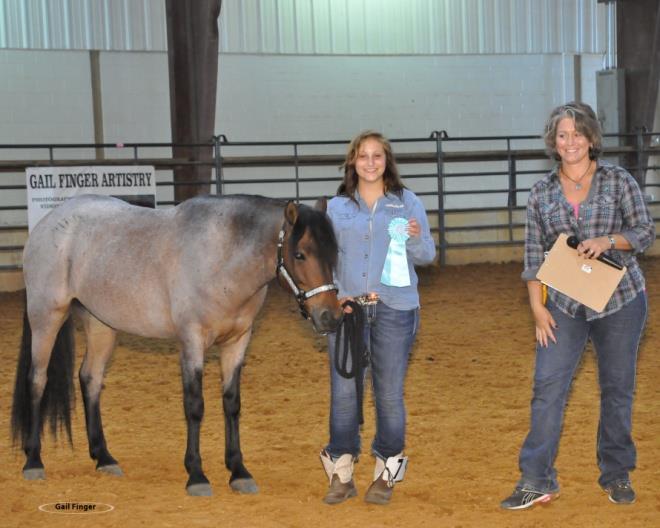 O'Connor Reserve AIHR Champion A Halter - Calypso Moon/Stephani Sims AA Weanlings & Yearlings (4
