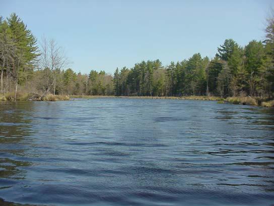 The eastern shoreline, some of which is owned by Franklin Pierce University, remains largely undeveloped. The lake is 17 feet at the deepest point and averages 7 feet deep throughout.