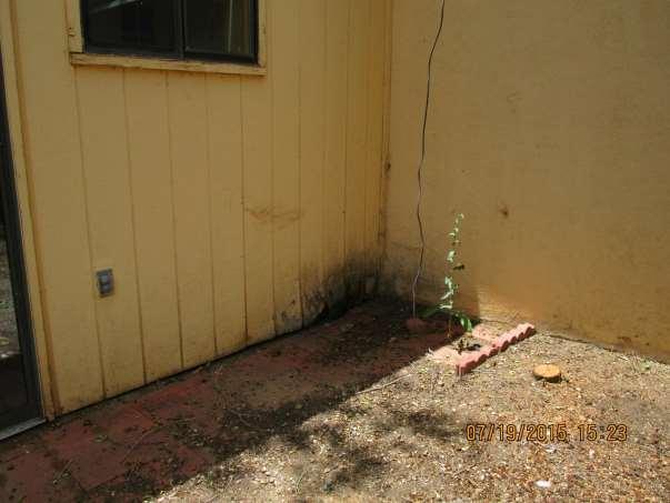 And the Fannie Mae property also has unappealing wood rot, mold,
