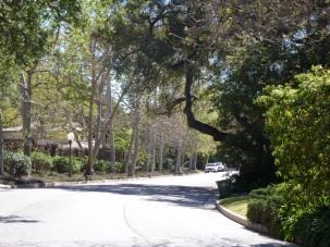 Districts Name: Moraga Drive Residential Historic District Description: The Moraga Drive Residential Historic District is located within the western portion of Bel Air.