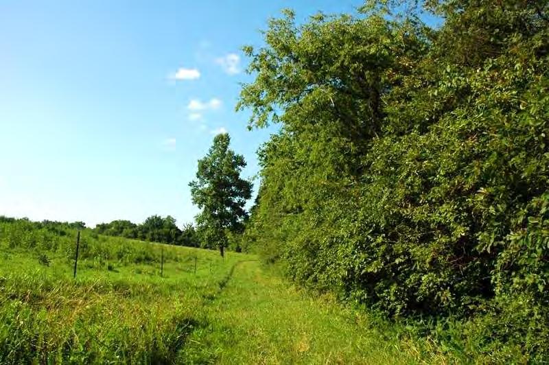 OVERVIEW: This 55 acre farm is located just outside of Cosby, TN it is 20 minutes from Douglas Lake, 45 minutes from Gatlinburg, and about an hour from Knoxville.