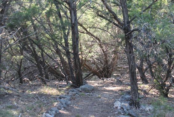 trees and other native vegetation, rock outcroppings, several access points and a wet-weather
