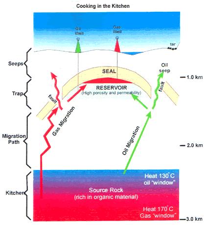 Origin of Hydrocarbons Source Rock Where hydrocarbon originates Reservoir Rock Where hydrocarbon is stored