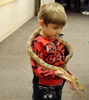 El subsidio permitirá que HACE atienda a 1,000 latinas profesionales The Peggy Notebaert Nature Museum Hosts Night of Cold-Blooded Fun Calling all snake lovers for a night of family fun with slithery