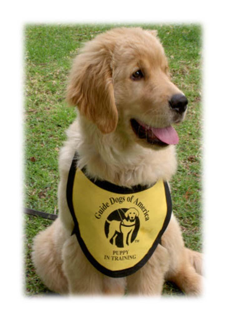 FAIR HOUSING ACT AND DISABILITY What Assistance Animals Do. Assistance animals are recommended to serve a full spectrum of disability-related needs such as visual, audio, and mobility impairments.