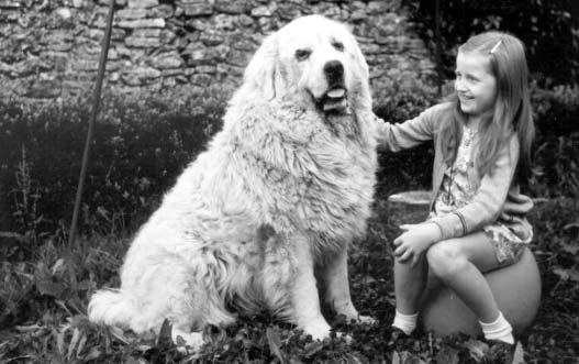 Josephine Chadwick with her dog Bruno.