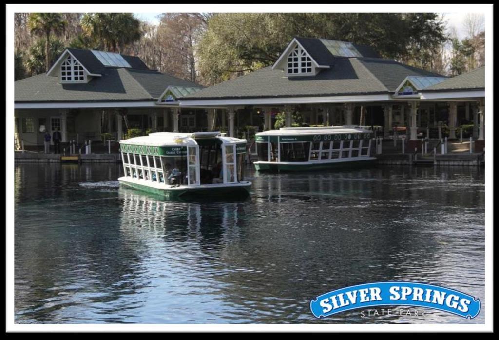 Silver Springs is a community in Marion County, Florida. It is the site of Silver Springs, a group of artesian springs and a historic tourist attraction that is now part of Silver Springs State Park.