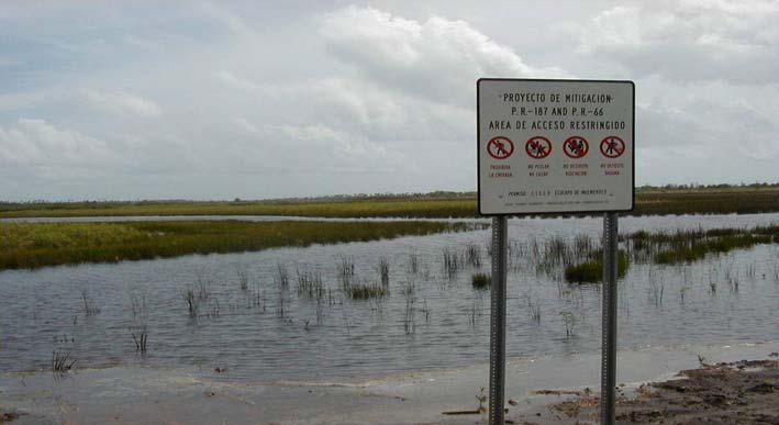 Enhancement: Increased hydroperiod of formerly farmed floodplain wetlands to
