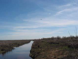 CNLM: Some wetland preserves Prichard Lake Preserve 43 acres Restoration of freshwater marsh wetlands (10 acres) Creation of 20 acres of freshwater marsh wetlands and sloughs and 3 acres of seasonal