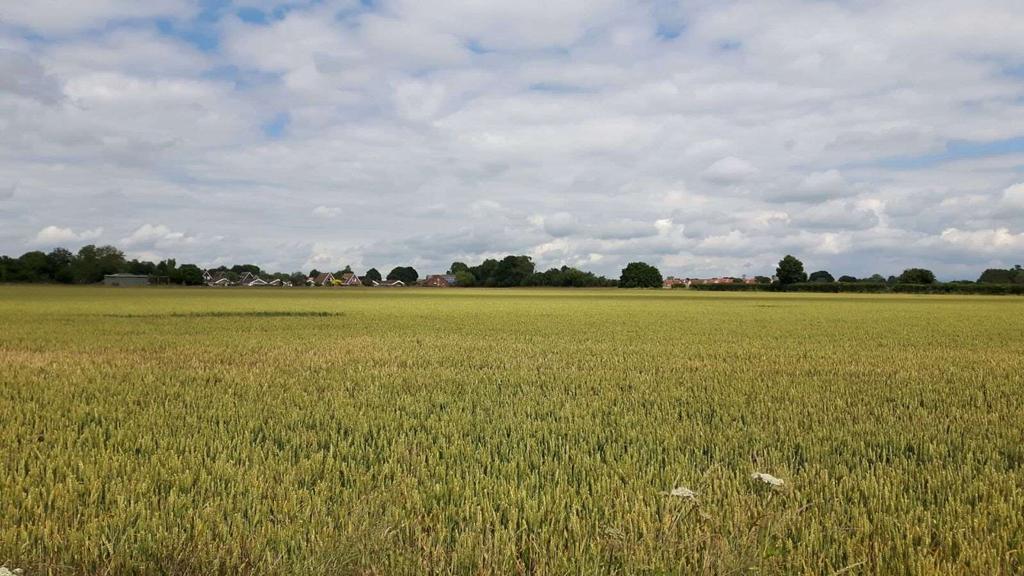 An exceptional opportunity to acquire a greenfield site benefitting from outline planning permission for the development of up to 180 dwellings. Approximately 7.4 hectares (18.