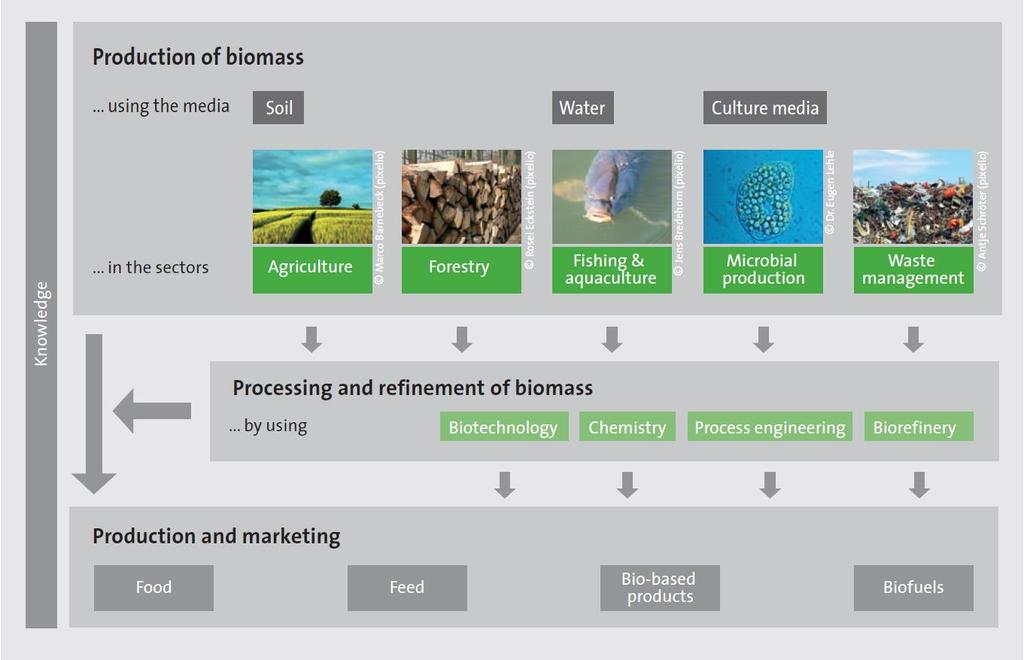Bioeconomy- A system with interlinked value chains