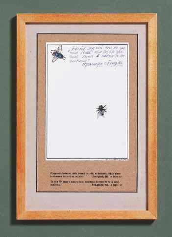 50/XX, signed and numbered Silkscreened picture and plastic fly mounted on paper and cardboard in hand-printed passe-partout, wood frame