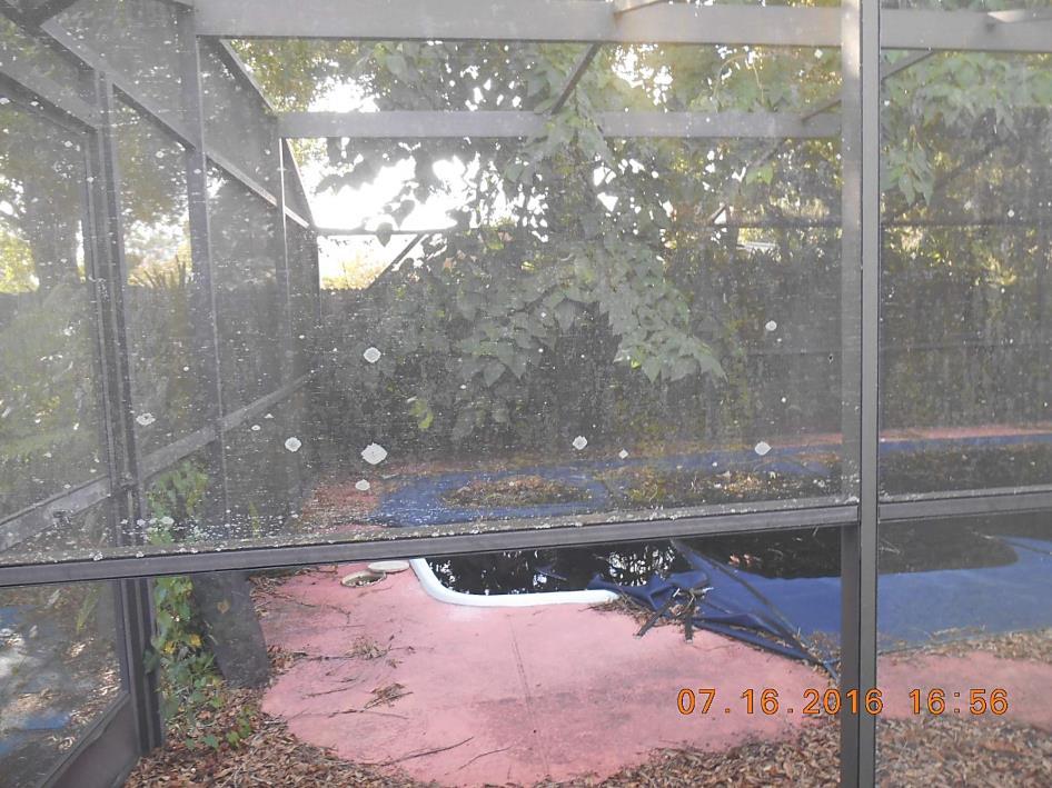 Caption: This Bank of America foreclosure in a Latino neighborhood in Orlando, FL, has an unsecured pool area.