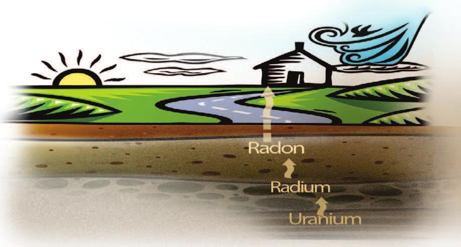 home is to conduct a radon test MDH any home can have high levels of radon Disclosure Requirements Radon Facts How dangerous is radon?