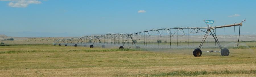 Water to the balance of the irrigated land (124± acres) is supplied through approximately 6,900 linear feet of PVC gated pipe (8 and 10 ); water for this