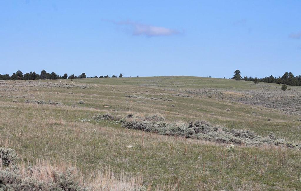 LOCATION & ACCESS The Laramie Peak Hunting Property is located approximately 20 miles North of Wheatland, Wyoming. There is good access from I-25 to Wyoming Highway 319.
