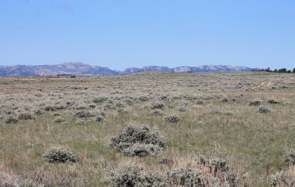 SIZE & DESCRIPTION 160.13 deeded acres The ranch is fenced on three sides with four strands of barbed wire. The terrain of the ranch consists of pine draws and rolling grass hills.