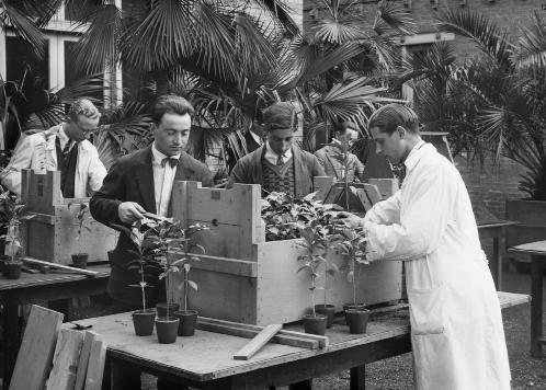 bétonsalon Centre for art and research Tropicomania: THE SOCIAL LIFE OF PLANTS Colonial Garden, 1934 : Practical work on the conditioning of coffee seedlings in Wardian cases, glass plate photograph