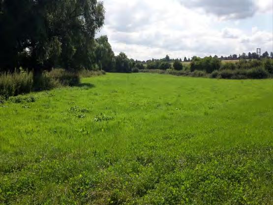 from gated access onto Timberhonger Lane. The land is conveniently located to Bromsgrove, Kidderminster and Droitwich, yet with immediate access to quiet country lanes leading to bridleways.