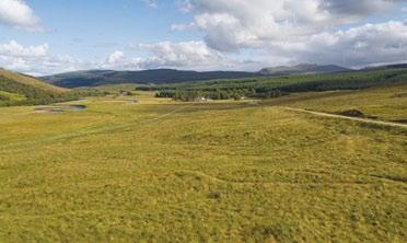 Scotland Rural Development Program (SRDP). The first is a 15-year Native Woodland Planting scheme with a current annual income of 17,141.48 per annum. This scheme covers about 152.