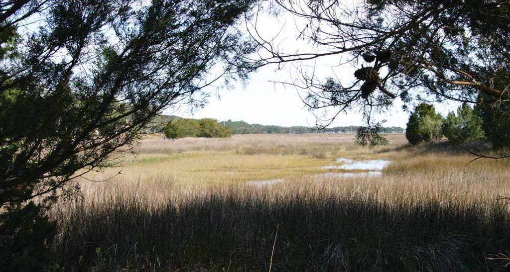 John Gilbert Nature Trail: An instant hit For seven years, the St. Simons Land Trust s first and largest protected property sat hidden away on Frederica Road across from the Devonwood subdivision.