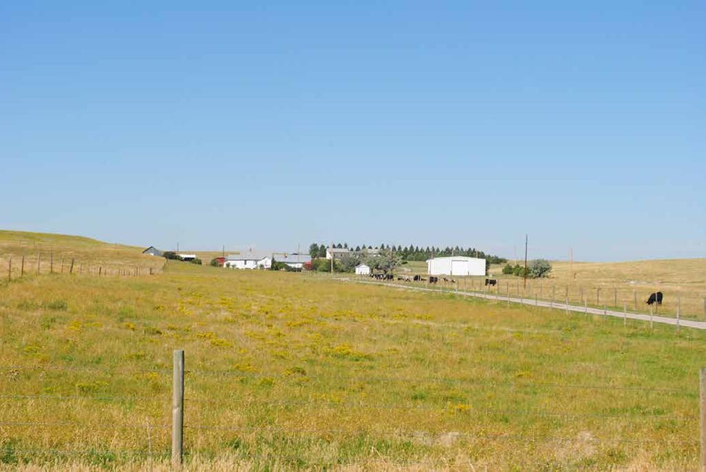 RANCHING/IRRIGATING OPERATIONS Historically, the owners have utilized the Ninety-Six Bear Creek Ranch as a working buffalo ranch, but currently only run beef cattle.