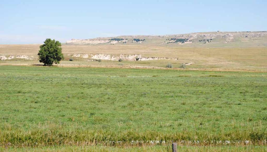 Located along the north end of the ranch are 120± acres