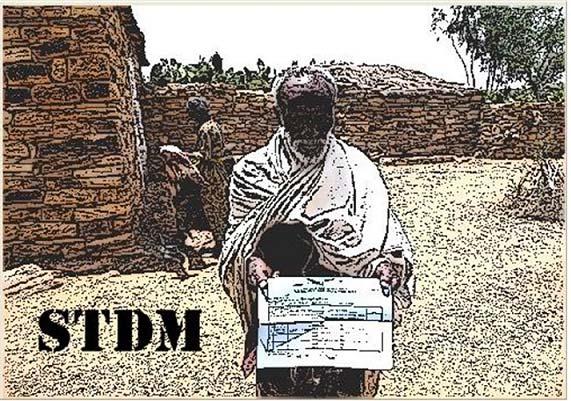 STDM (1) STDM is an initiative of UN-HABITAT Focus on people land relationships Specialization of LADM Structurally less