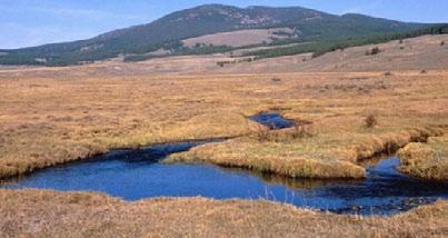 National Trails System FY2015 Nez Perce Holland Ranch, Montana Project Details LWCF Request: $1,050,000 Congressional District: MT-1, Steve Daines Acres: 320 Acquiring Agency: USFS Landscape
