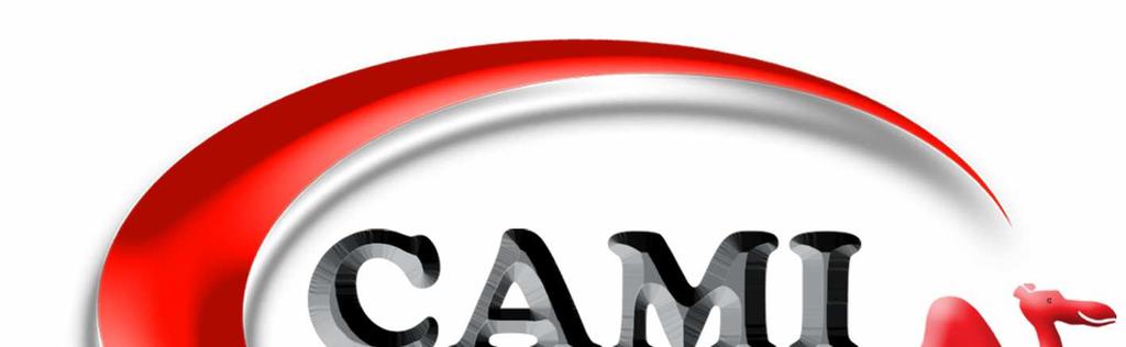 CAMI Education (Pty) Ltd Reg. No. 1996/017609/07 CAMI House Fir Drive, Northcliff P.O. Box 1260 CRESTA, 2118 Tel: +27 (11) 476-2020 Fax : 086 601 4400 web: www.camiweb.com e-mail: info@camiweb.