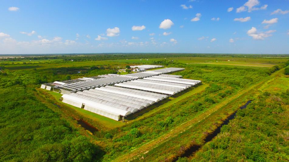 PROPERTY DESCRIPTION Greenhouses: There is approximately 440,000 square feet of greenhouse area on about 10 acres of the property.