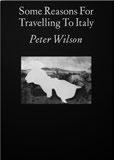SOME REASONS FOR TRAVELLING TO ITALY Peter Wilson With an afterword by Kurt Forster Italian cities have been points of reference for much of architect Peter Wilson s professional life, and the many