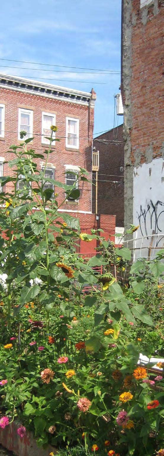 GOAL 5: REINFORCE OPEN SPACE INITIATIVES & URBAN AGRICULTURE (GREENING) why this goal is important to philadelphia Open space is vital to the health and future of Philadelphia s neighborhoods.
