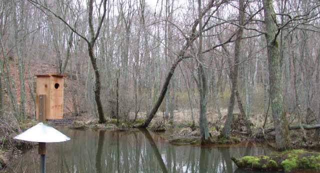 The BRNA is a true natural gem, with expansive marshes, mature forests, and at the center, its namesake creek.