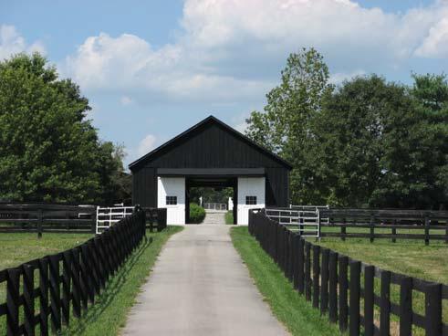 FARM IMPROVEMENTS: Broodmare Barn: 19 stall converted tobacco barn with stalls measuring 12 x 14 (one foaling stall is 12