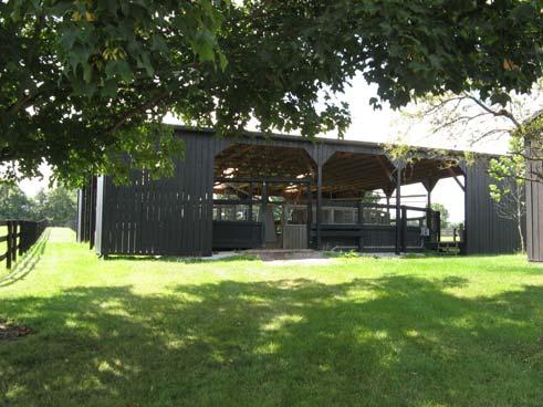 Yearling Barn: 11 stall barn with stalls measuring 10 x 12, 15.
