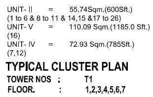TYPICAL CLUSTER PLAN