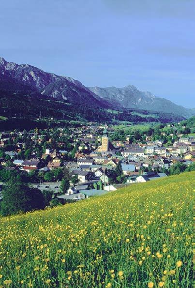 Purchase Information Flexible Rental As with most holiday homes in Austria these properties are required to be rented out for part of the year.
