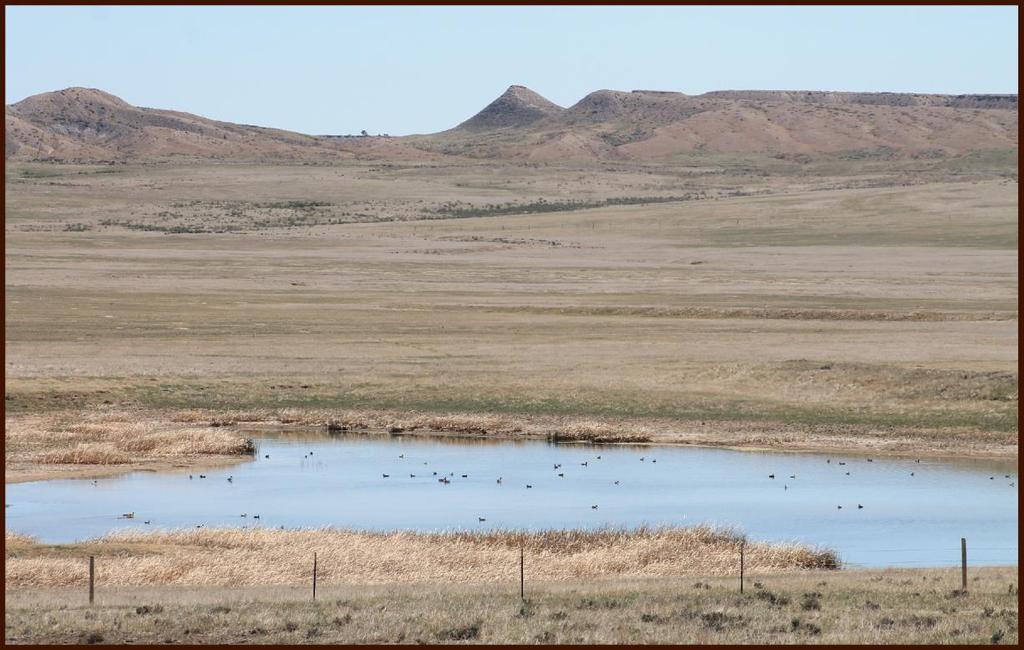 RECREATION & WILDLIFE The Cheyenne River Ranch offers excellent hunting opportunities for mule deer, whitetail deer, antelope, turkeys and upland game birds.